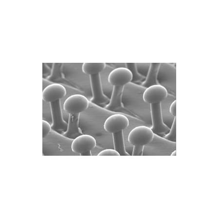 3M 3M 8482; Disc Pad Holder 9145 4 1/2" x 1/8" x 3/8"5/8-11" 7000046035